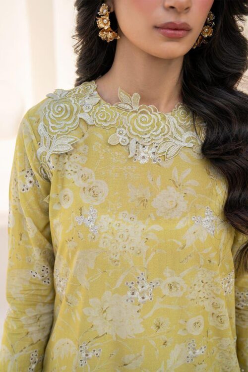 lawn embroidered chiffon suit