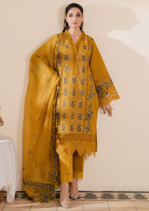 premium chicken kari collection front embroidery