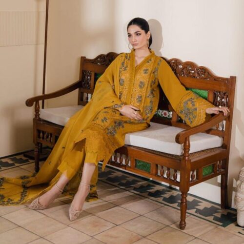 premium chicken kari collection front embroidery