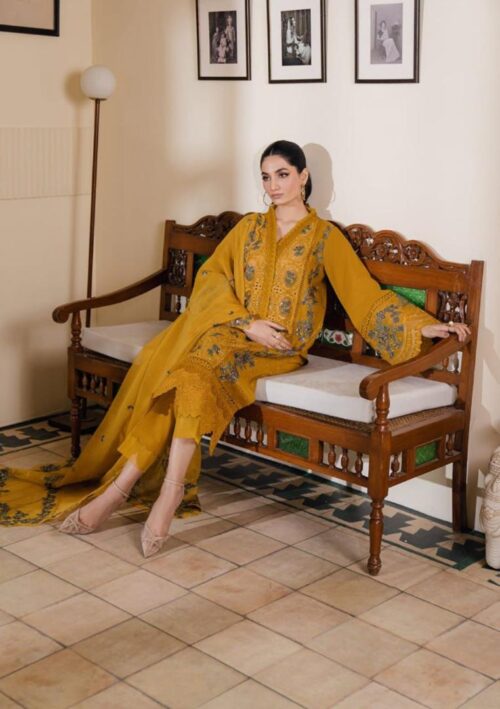 premium chicken kari collection front embroidery