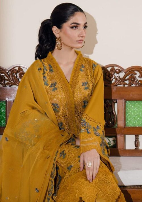 premium chicken kari collection front embroidery