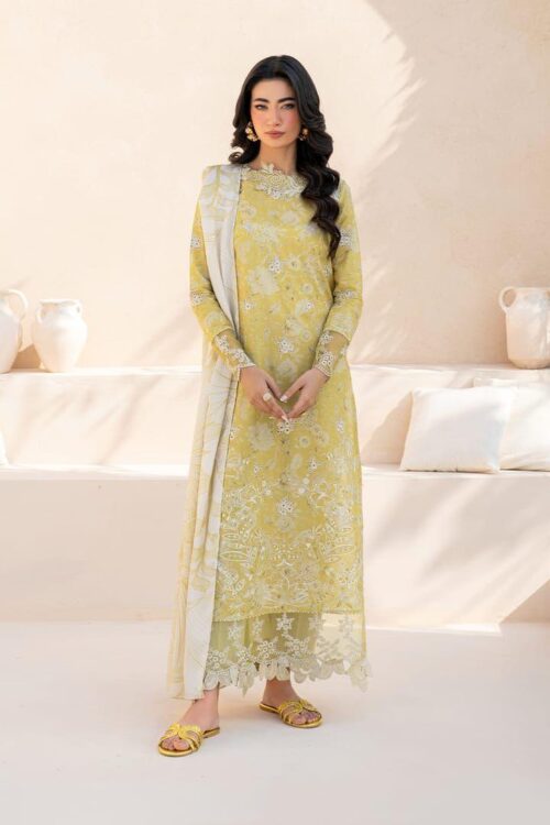 lawn embroidered chiffon suit