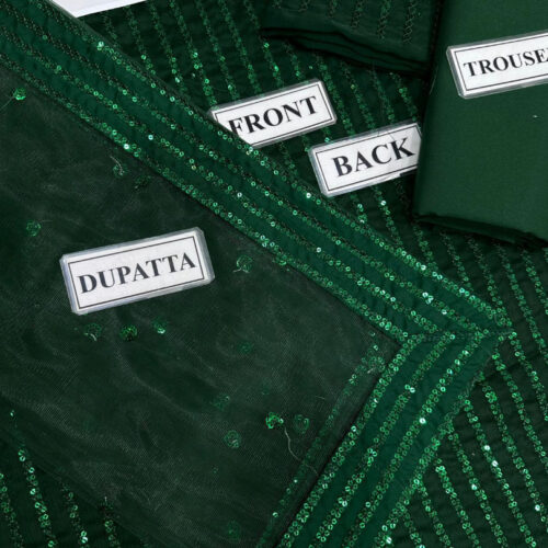 Semi Pure Chiffon Dress Front Design